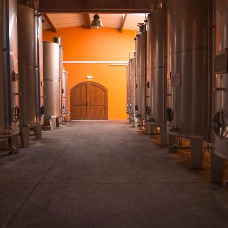 コビリャン Tranca Da Barriga - Casa Do Vinho By Quinta De Sao Tiagoヴィラ エクステリア 写真
