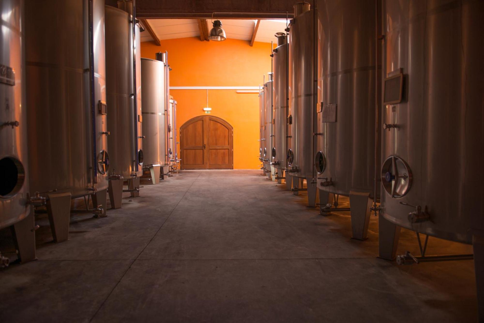 コビリャン Tranca Da Barriga - Casa Do Vinho By Quinta De Sao Tiagoヴィラ エクステリア 写真