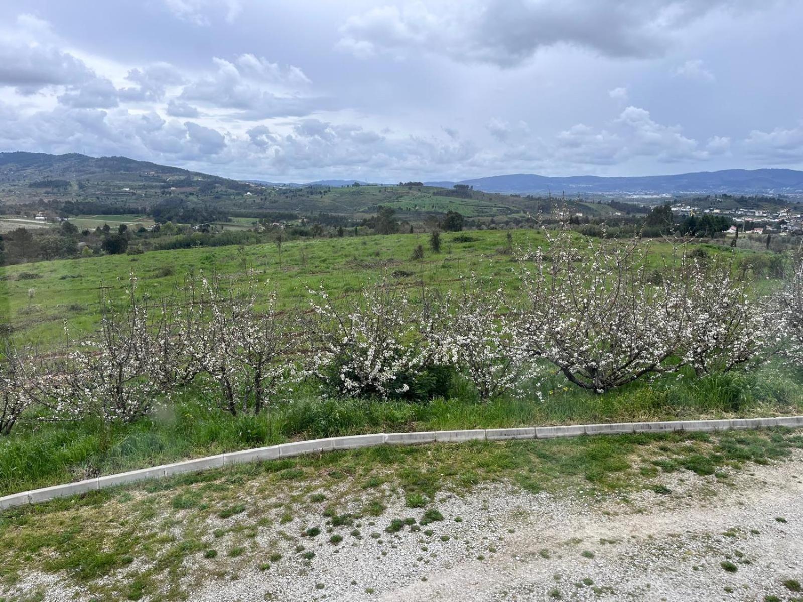 コビリャン Tranca Da Barriga - Casa Do Vinho By Quinta De Sao Tiagoヴィラ エクステリア 写真