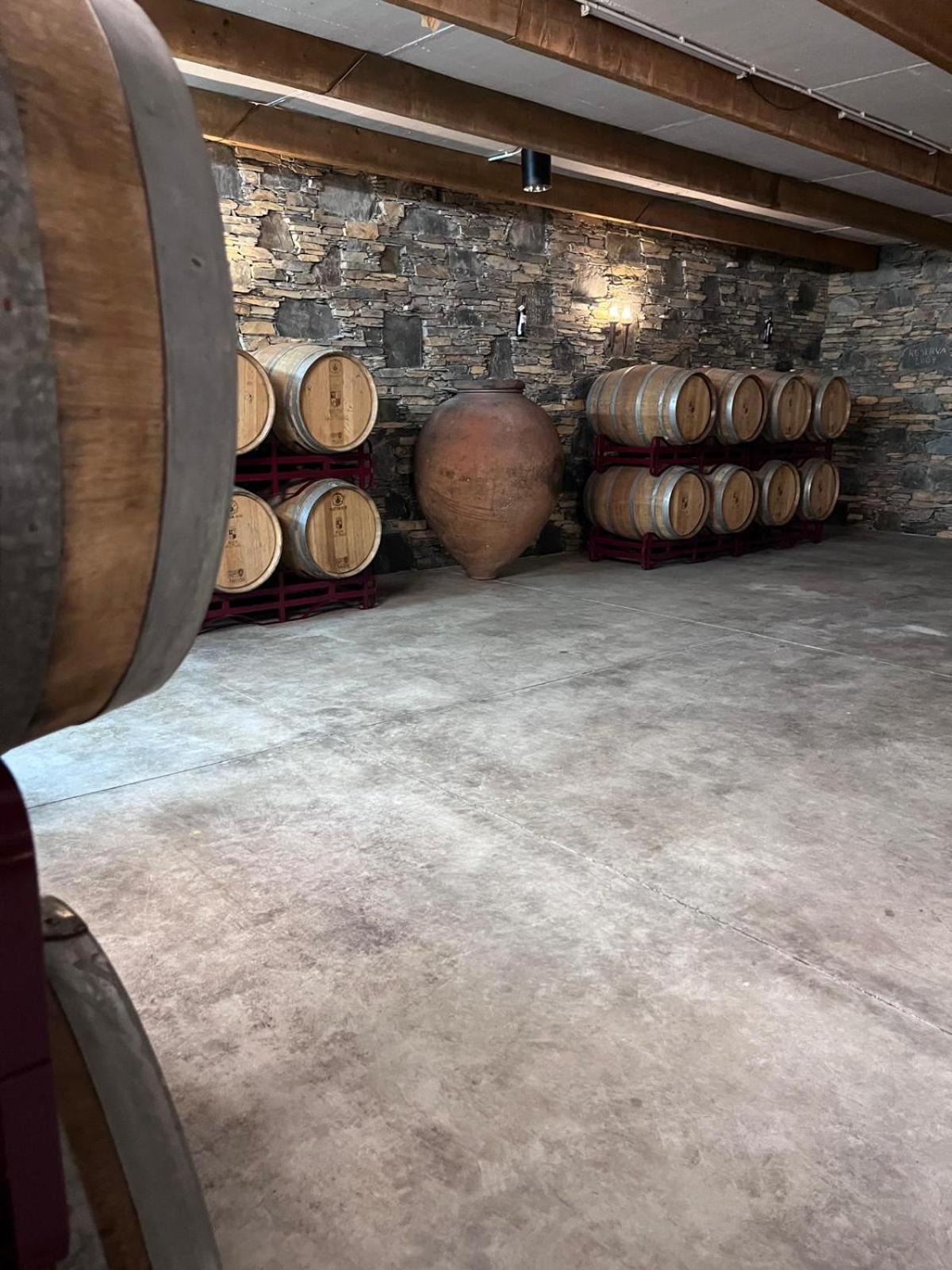 コビリャン Tranca Da Barriga - Casa Do Vinho By Quinta De Sao Tiagoヴィラ エクステリア 写真